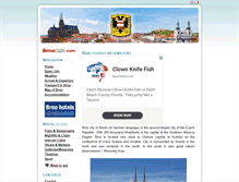 Tablet Screenshot of brnoinfo.com
